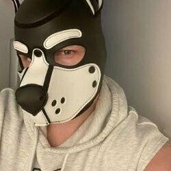 Pup Gizmo OnlyFans – free nudes, naked, leaked