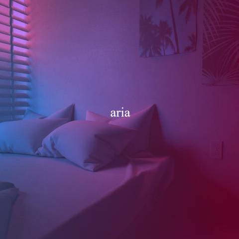 Aria