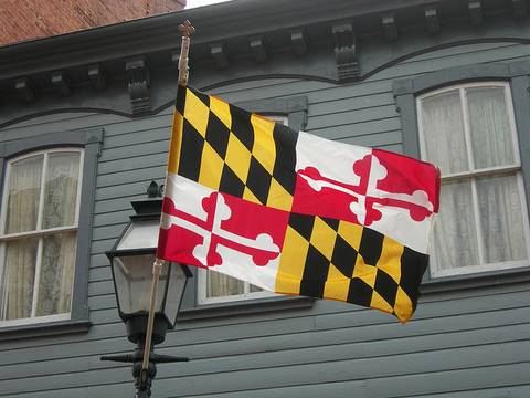 Baltimore Dadbod