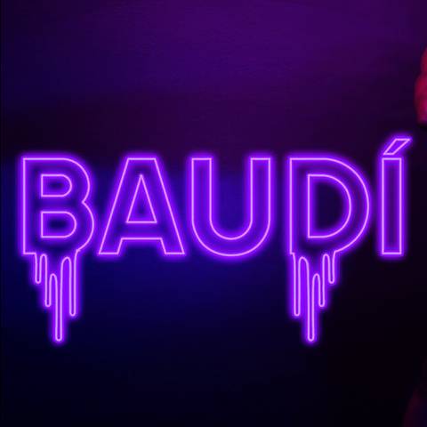 B A U D Í