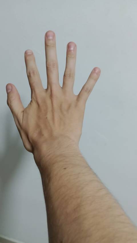Bitop