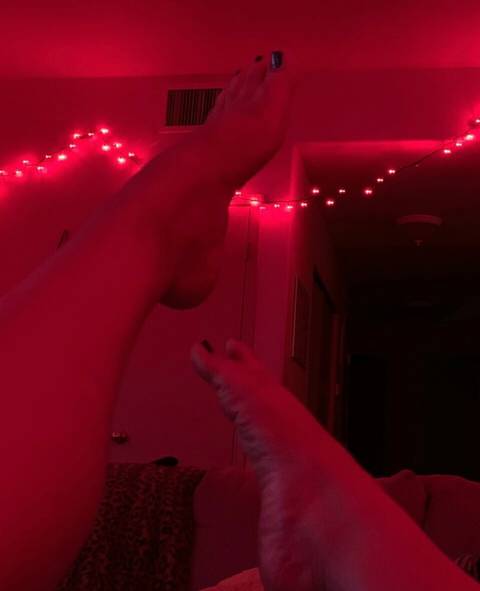 Barefoot Brown Bunny
