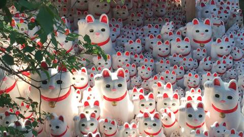 ♡Maramiyyeh Neko♡