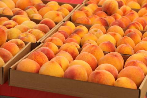 Peachesgirl