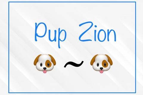 Pup Zion