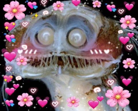 _.SpicyB0ngWater (Raé)