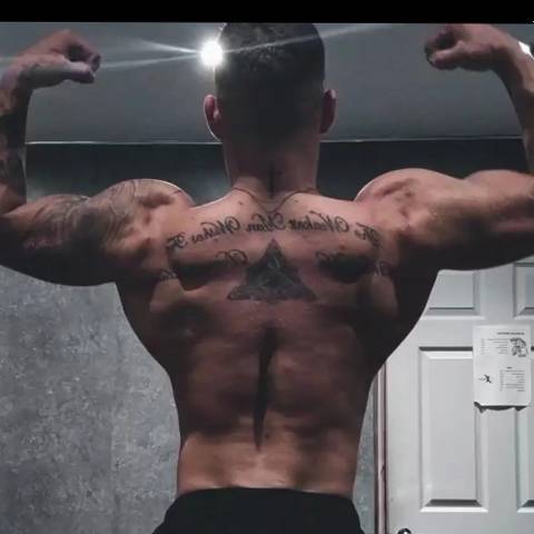 THE ALPHA