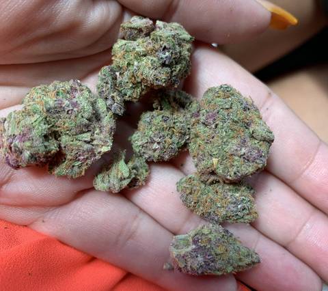 Titties&Weed+$=HL