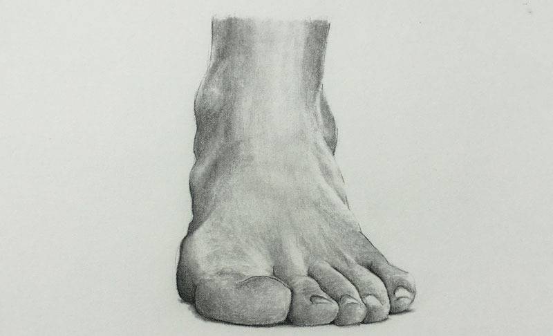 Handlerfeet