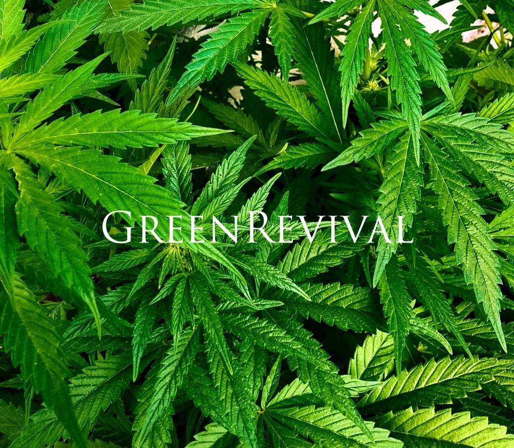 GreenRevival