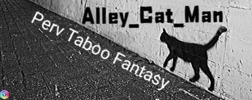 Alley_Cat_Man