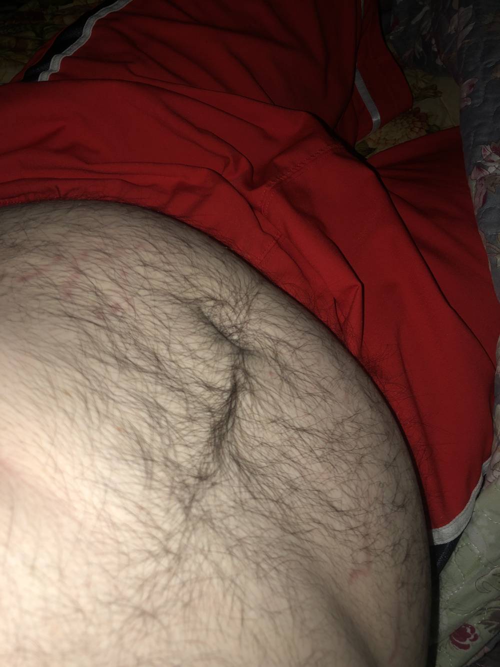 Hairy Chub Bear