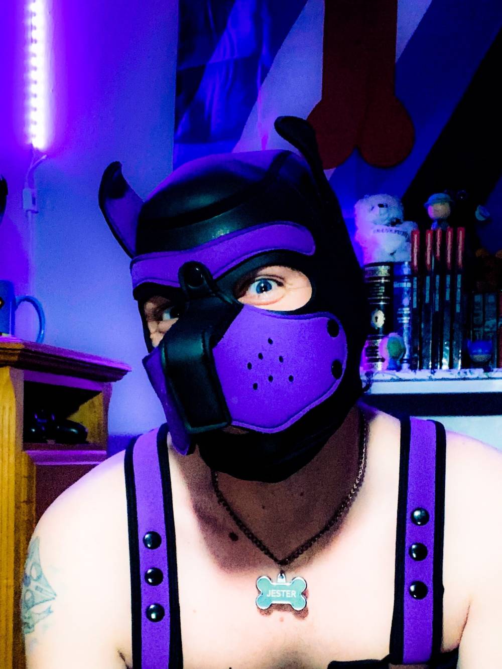 PupJester