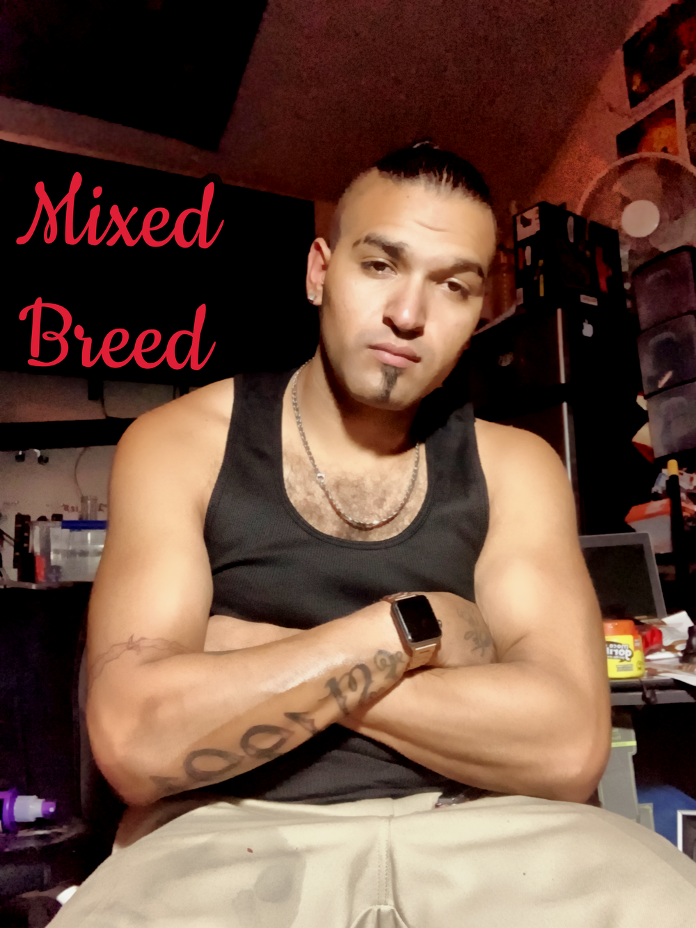 Mixedbreed420