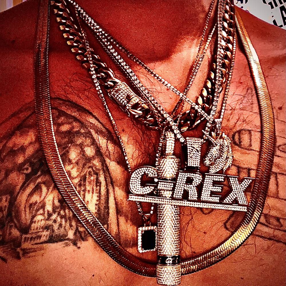 C-Rex N Recs