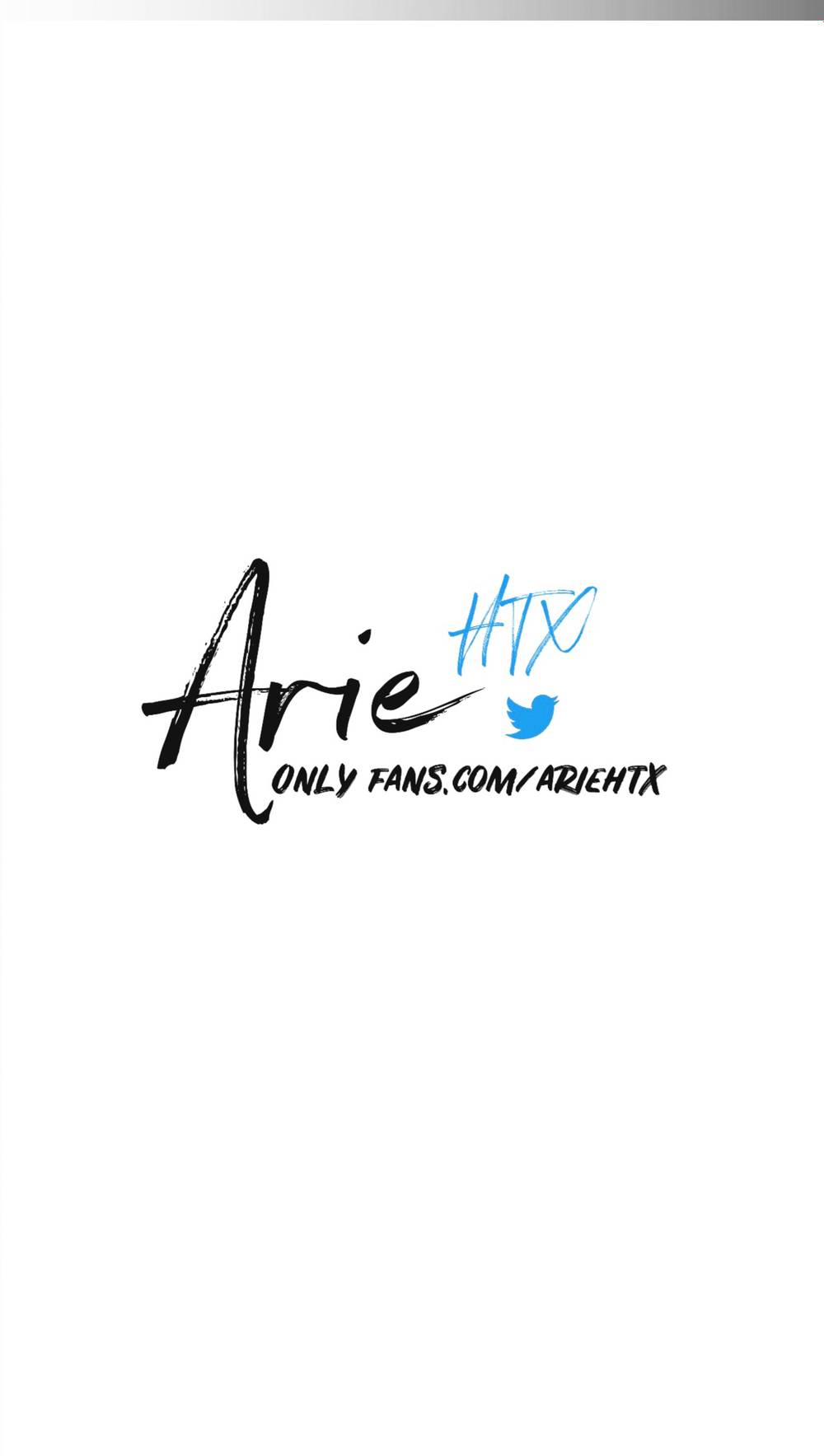 Arie